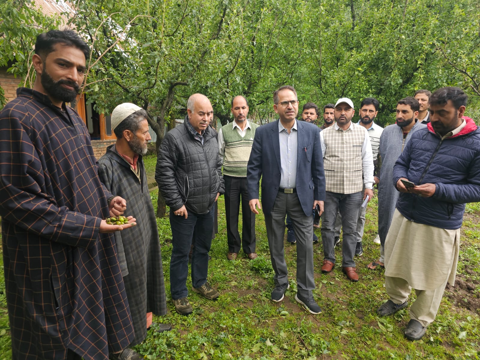 Director Horticulture issues advisory to mitigate hailstorm damage