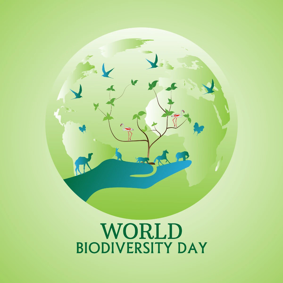 International Day for Biological Diversity: Better biodiversity