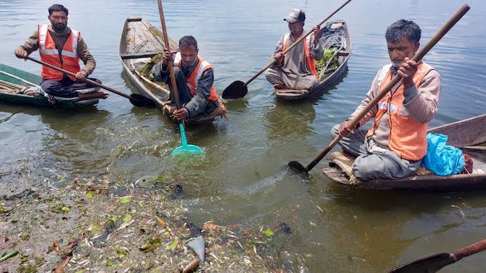 Thousands of fish found dead in Dal Lake