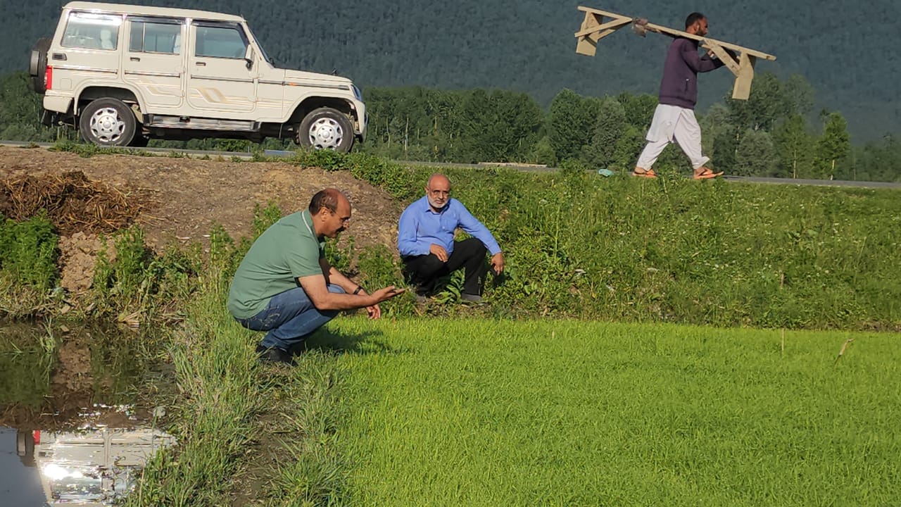 Integrated farming has huge potential for sustainable agriculture economy in J&K: Director Agriculture