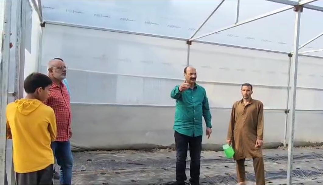 Director Agriculture advocates commercial cultivation of exotic vegetables