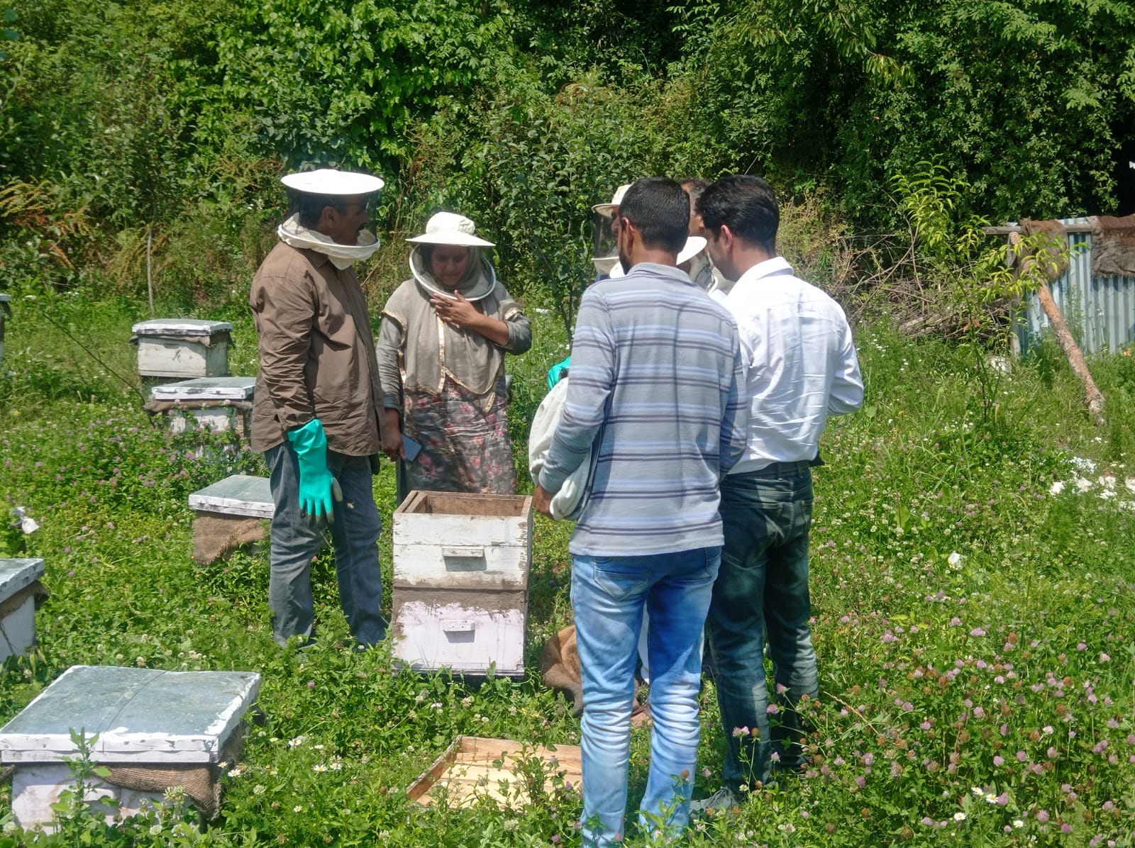 Agri deptt endeavoring to attract more educated youth towards diverse agriculture activities: Ch Iqbal