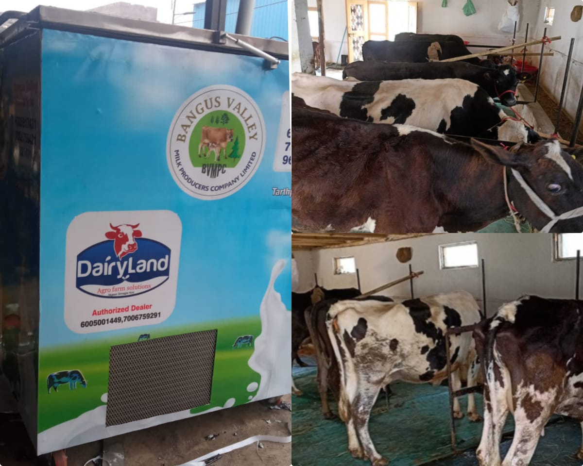 Kupwara district becomes milk surplus, produces 15.39 crore liters of milk a year