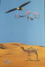 Dr. Shahida Shabnum: A trailblazing mystic composer empowering Women through Kashmiri literature