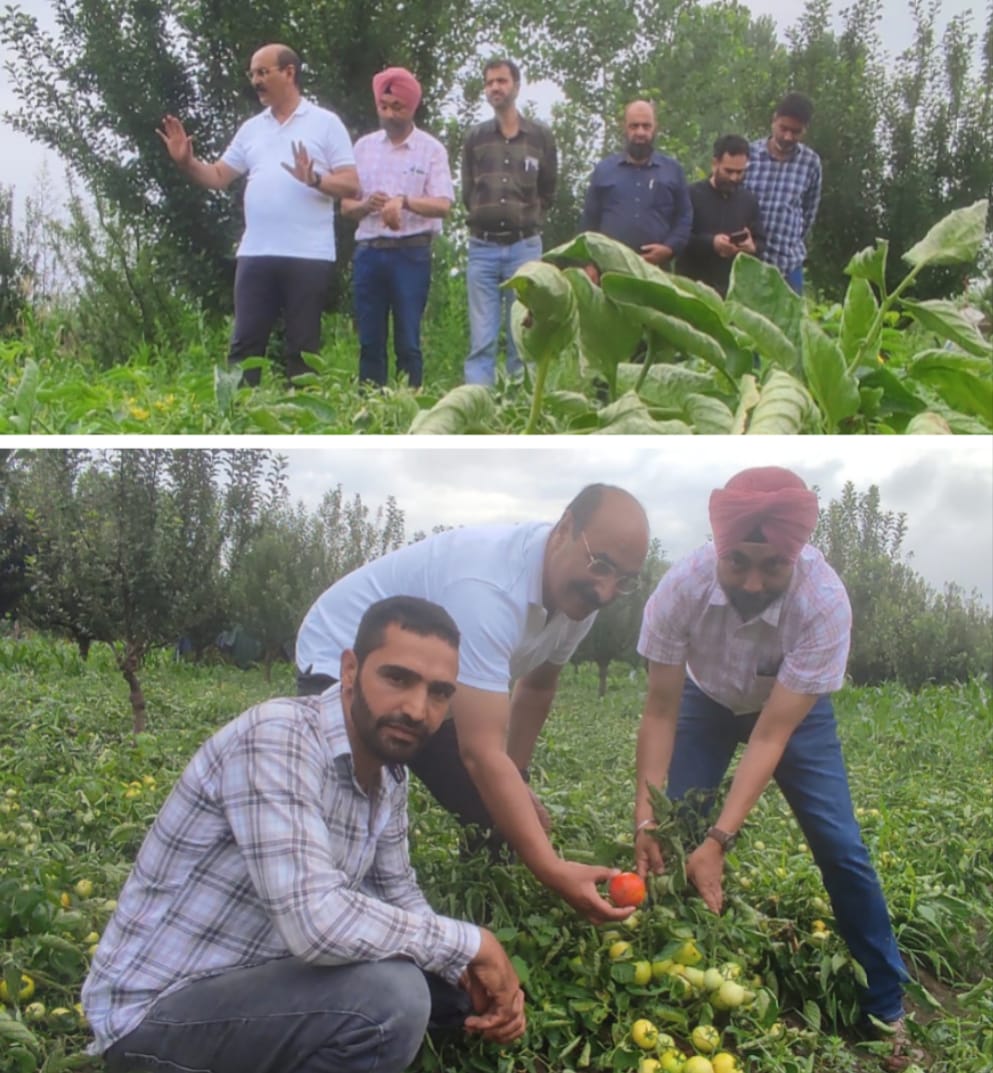 Tapper farm becoming a model seed multiplication farm: Director Agri