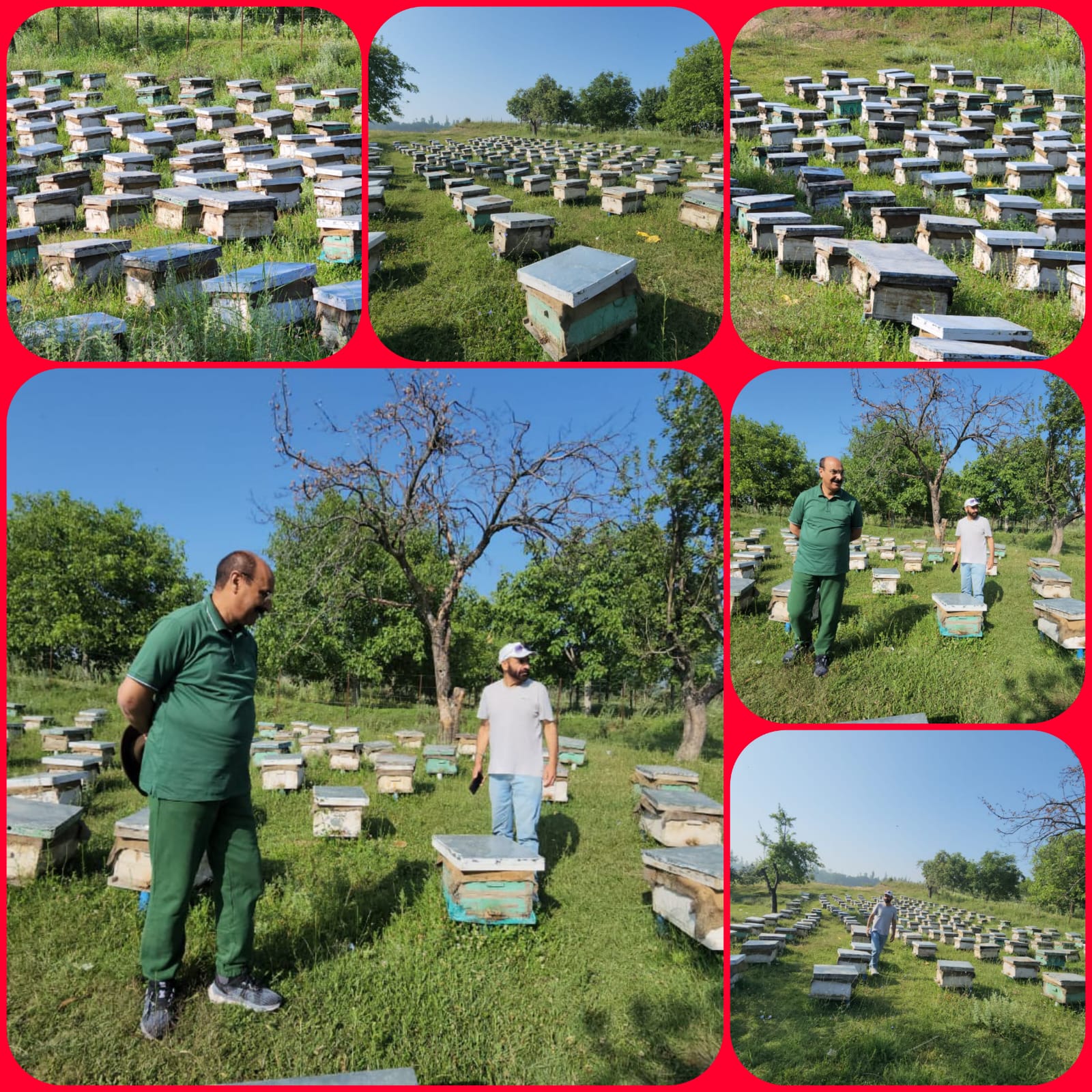 Agri Deptt endeavoring to attract educated youth towards diverse agriculture activities: Director