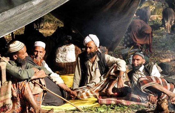 ‘NATURE’S TRUE COMRADE ‘- THE GUJJARS & BAKARWALS OF J&K         
