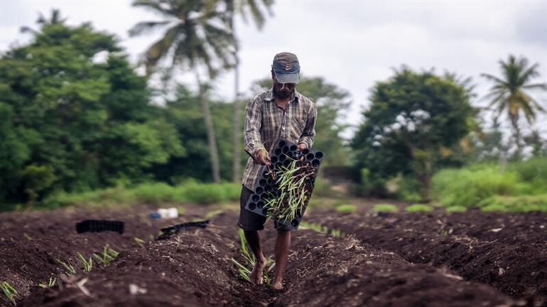 Fuelling the rural economy, empowering farmers through a resurgent sugar sector