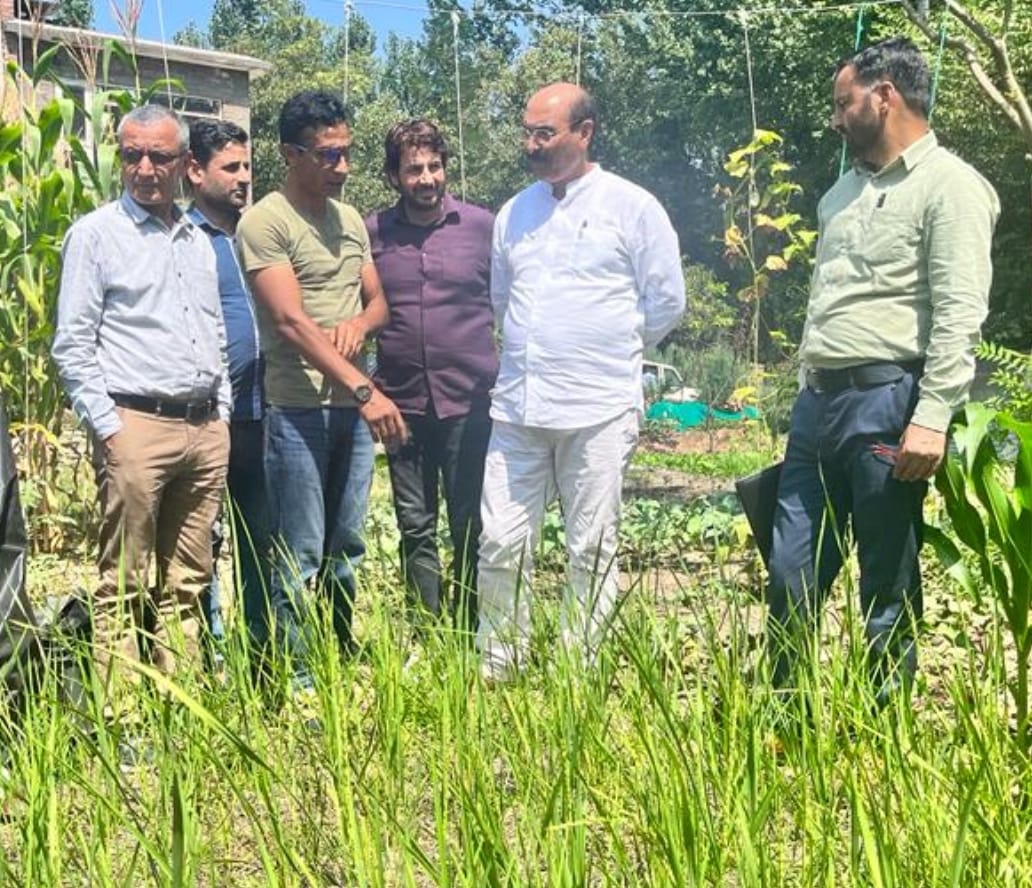 Providing every possible technical guidance to farming community: Dir Agri