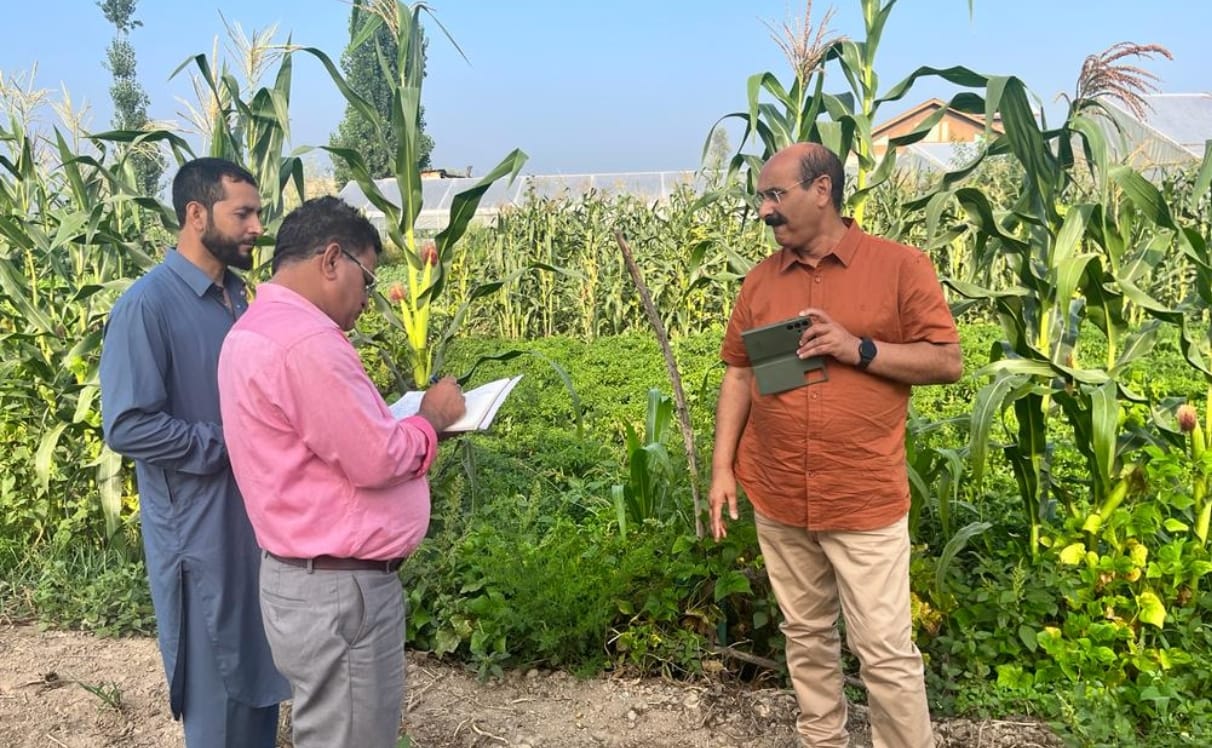 3rd batch of vegetables produced under controlled conditions ready to reach markets: Ch Iqbal