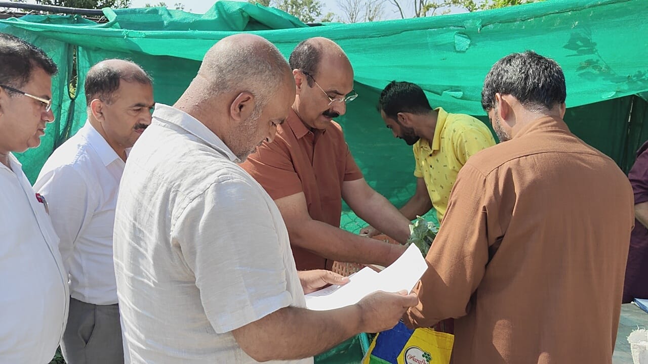 Director Agriculture kickstarts 6th phase of vegetable seedling distribution