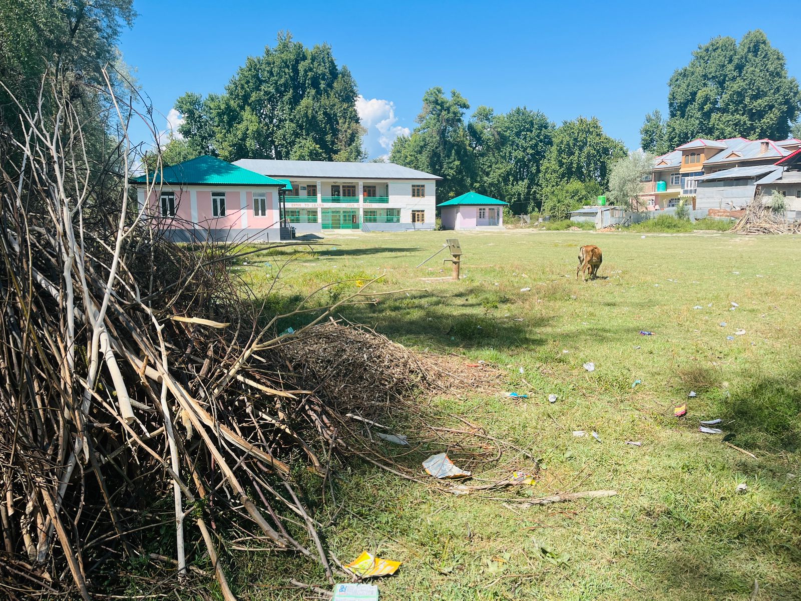 Govt Girls High School Tarzoo faces wildlife woes in absence of protective fence