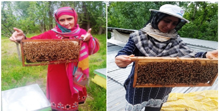 JKRLM empowering lives through beekeeping