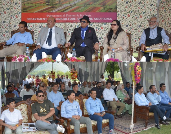 ‘Srinagar’s Tulip Garden enters World Book of Records as Asia’s largest’