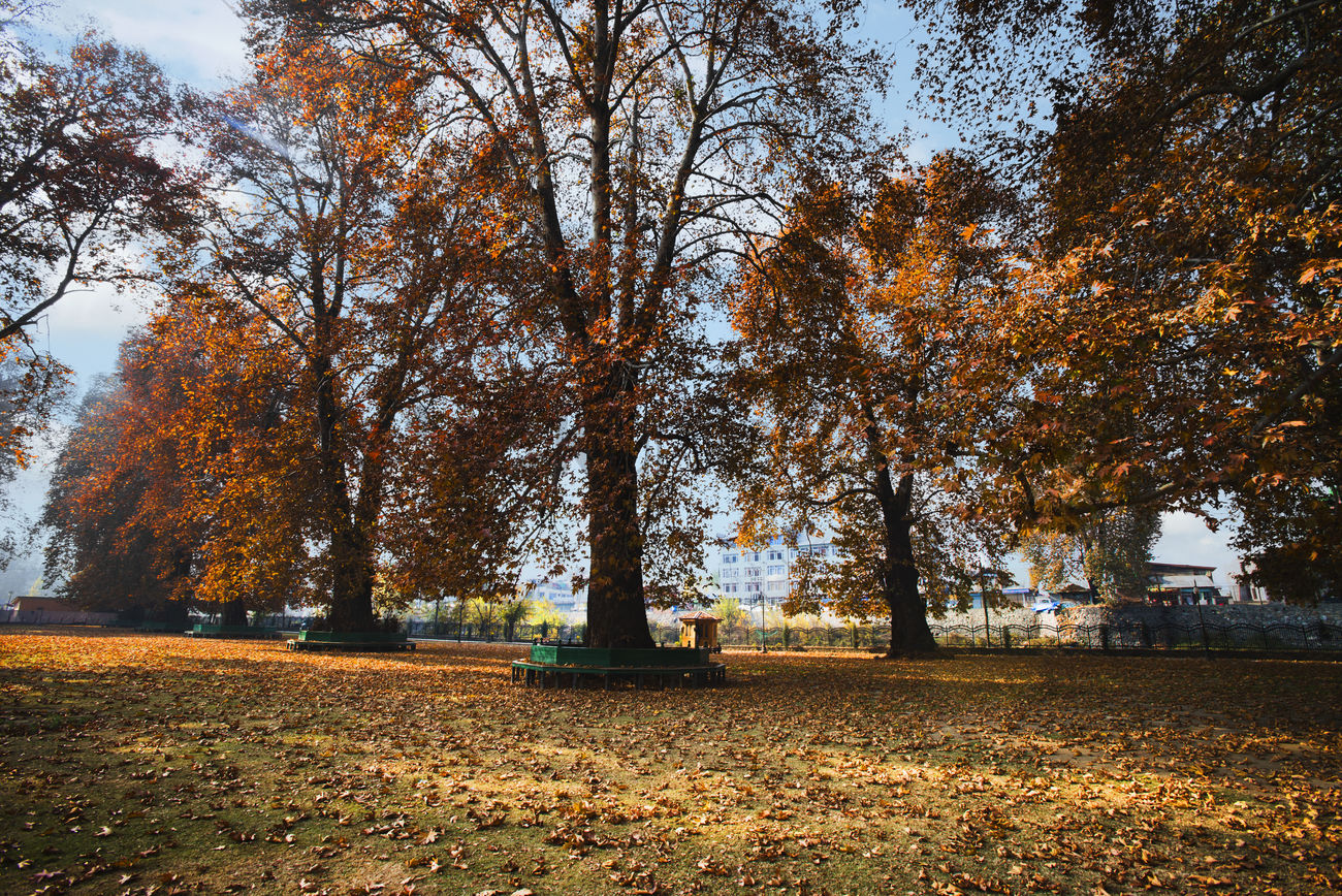 Chinar Bagh Park safe haven for illegal activities, seal it: Residents appeal authorities 