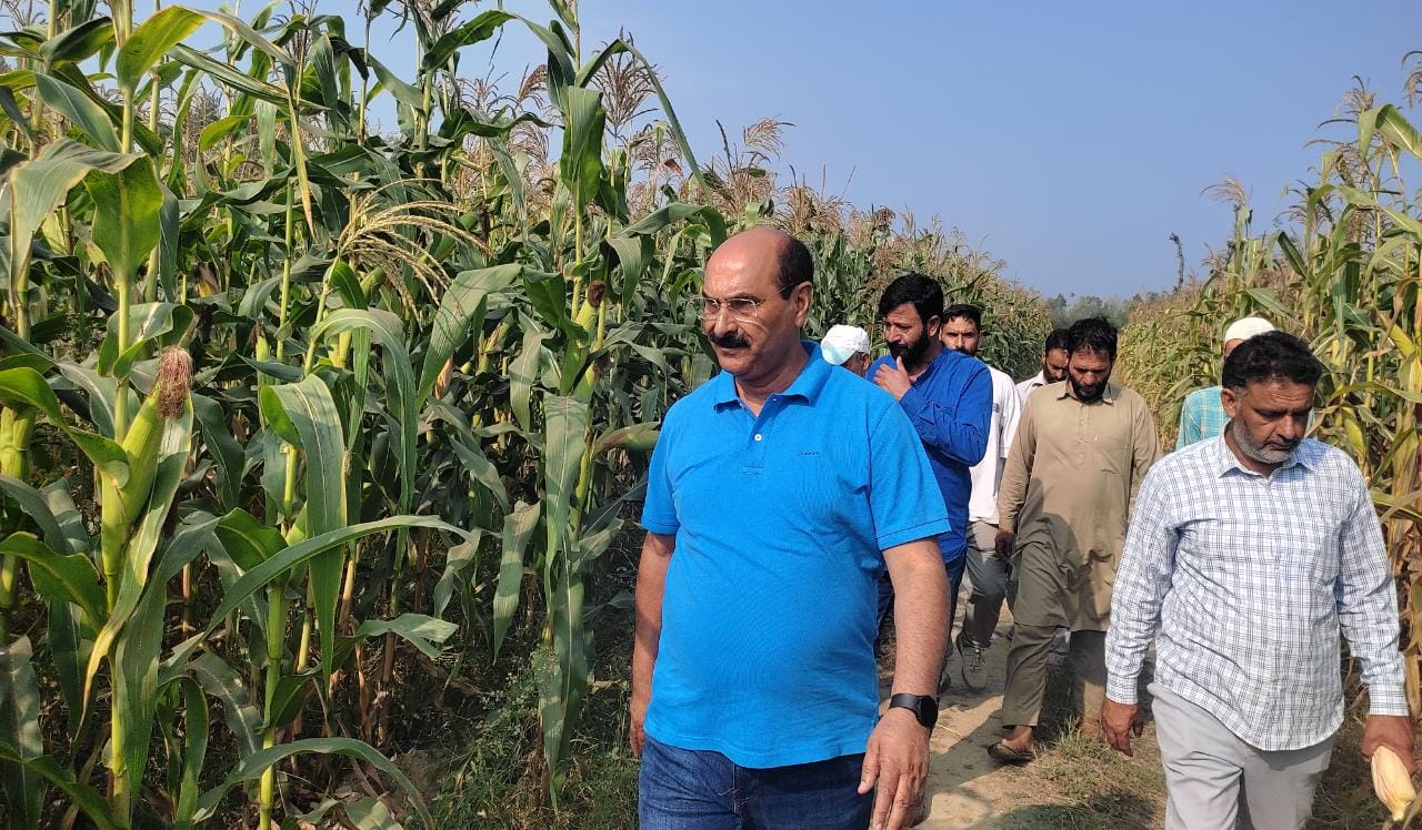 Dir Agri takes stock of paddy harvesting, crops scenario in Pulwama villages