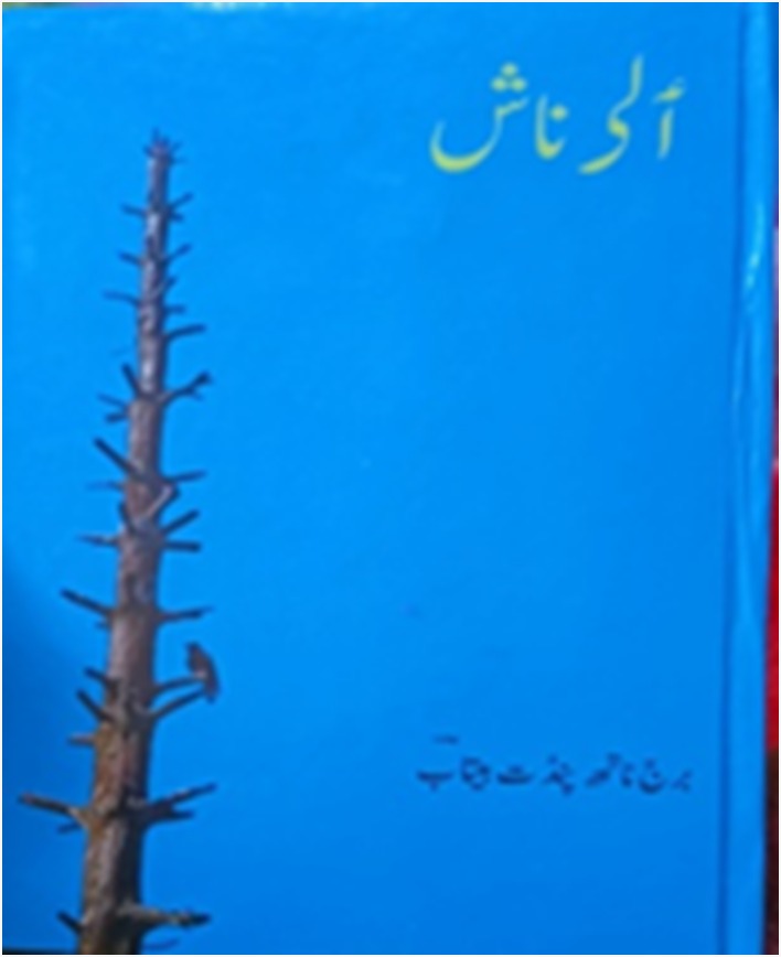 Book review: Themes and treatment in the poetry of B N Betab’s