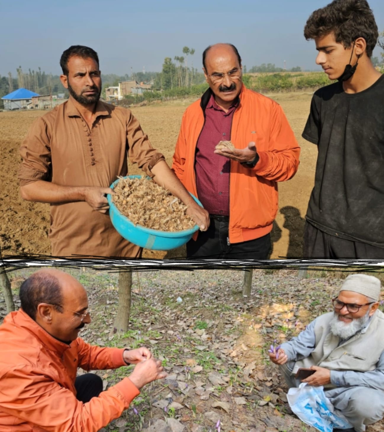 Agri Deptt endeavouring for area expansion under saffron crop: Director 