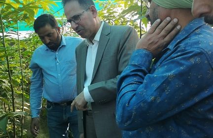 Director Horticulture takes stock of ongoing activities at FPN Zangam Pattan
