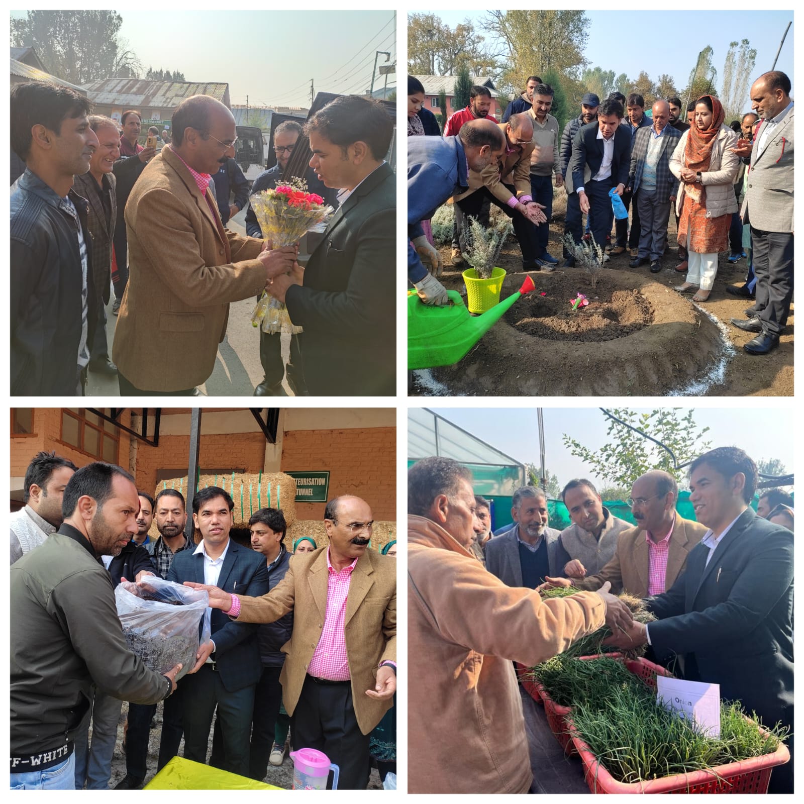 Div Com Kashmir kick-starts sale of rabi vegetable seedlings in Lalmandi Sgr