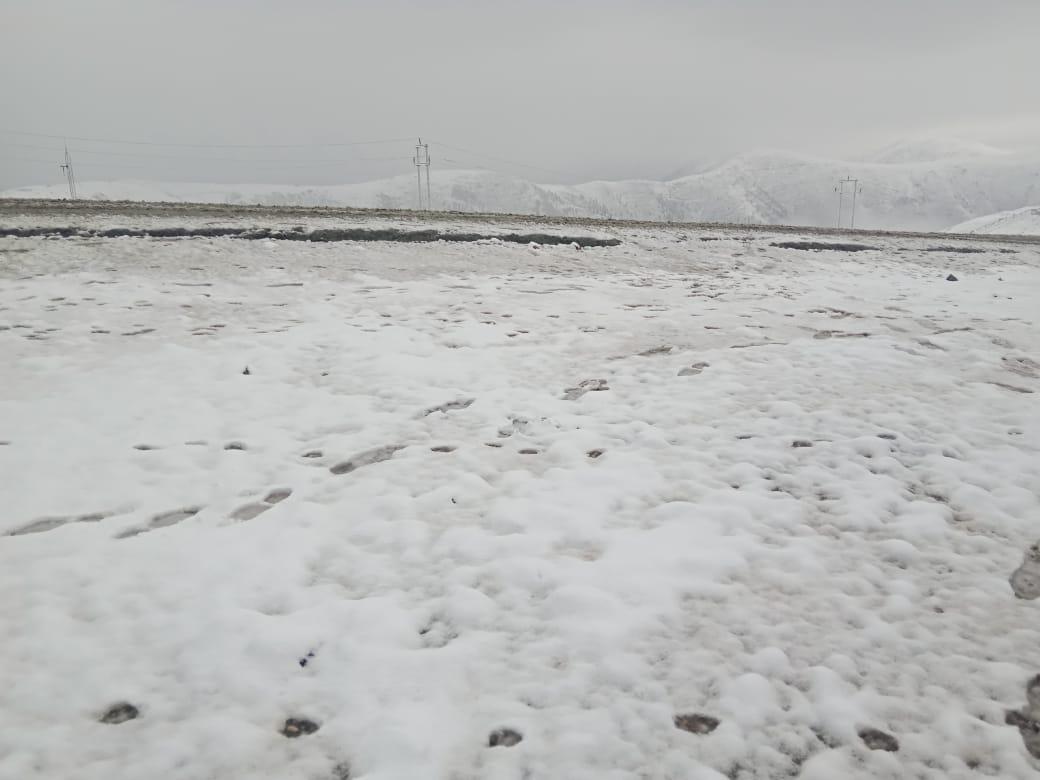 Kashmir higher reaches receive fresh snowfall, temperature plummets