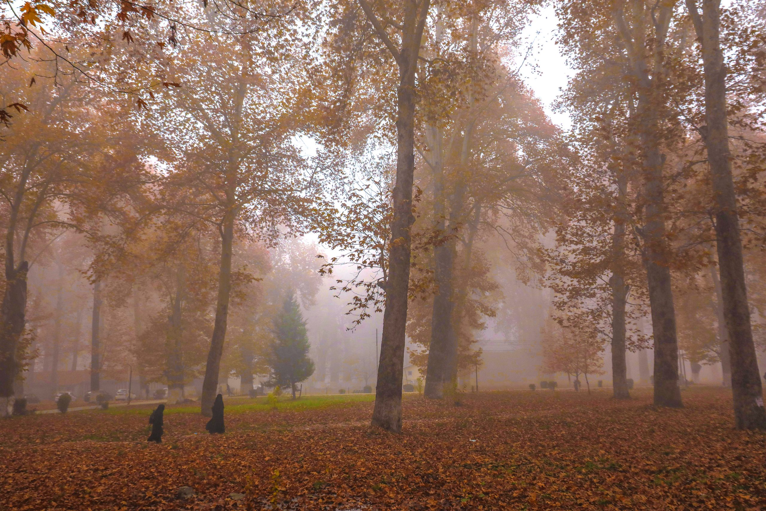 Cold wave grips Kashmir as mercury dips below freezing point