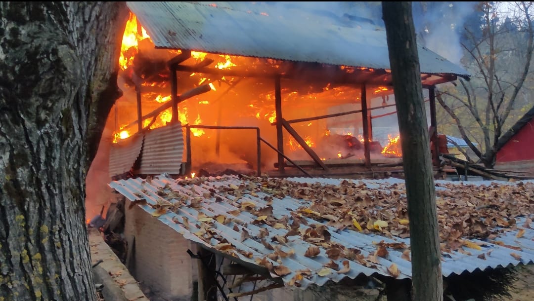 Cowshed cum food grain store gutted in Zandafaran