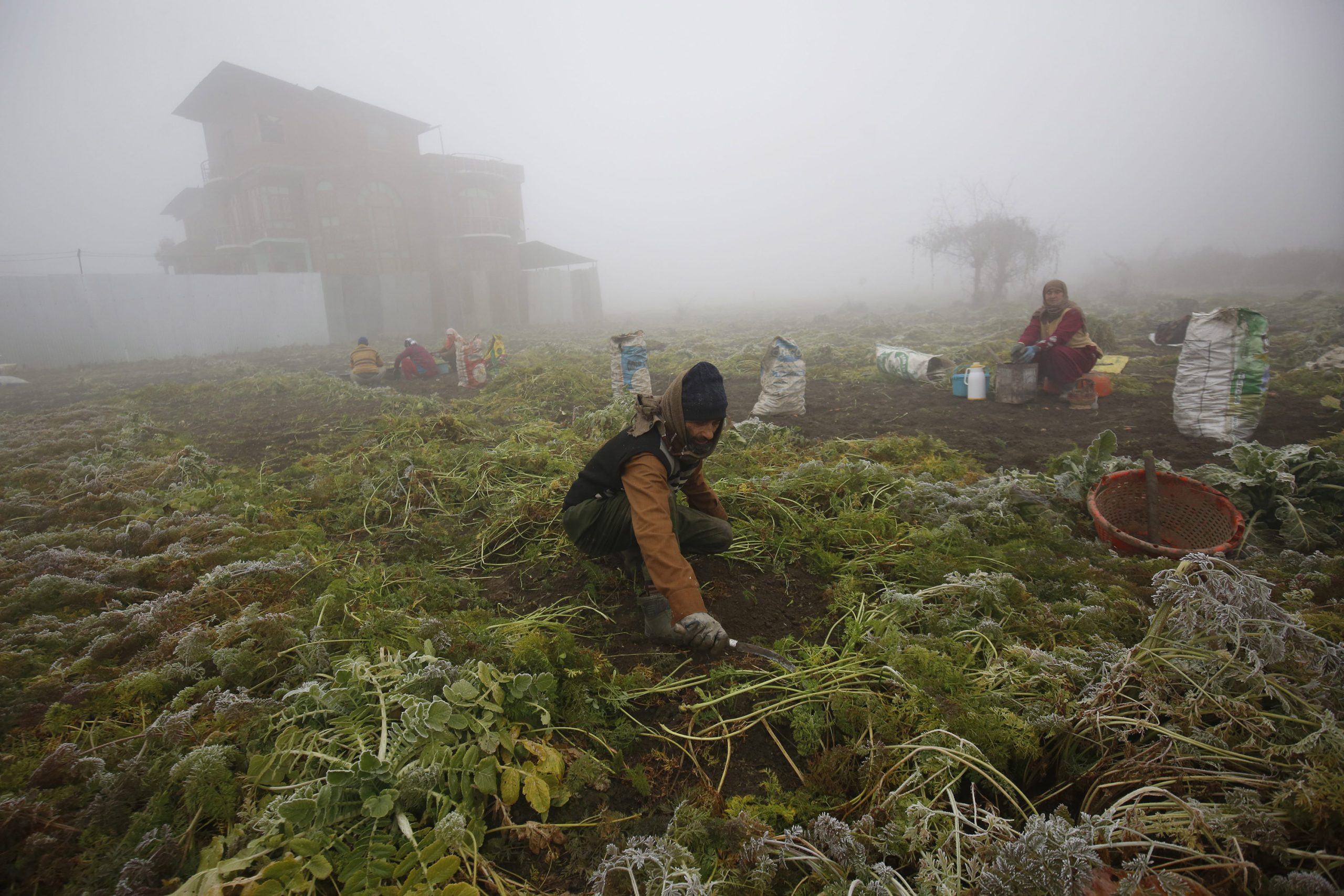 Cold wave conditions persist in Kashmir