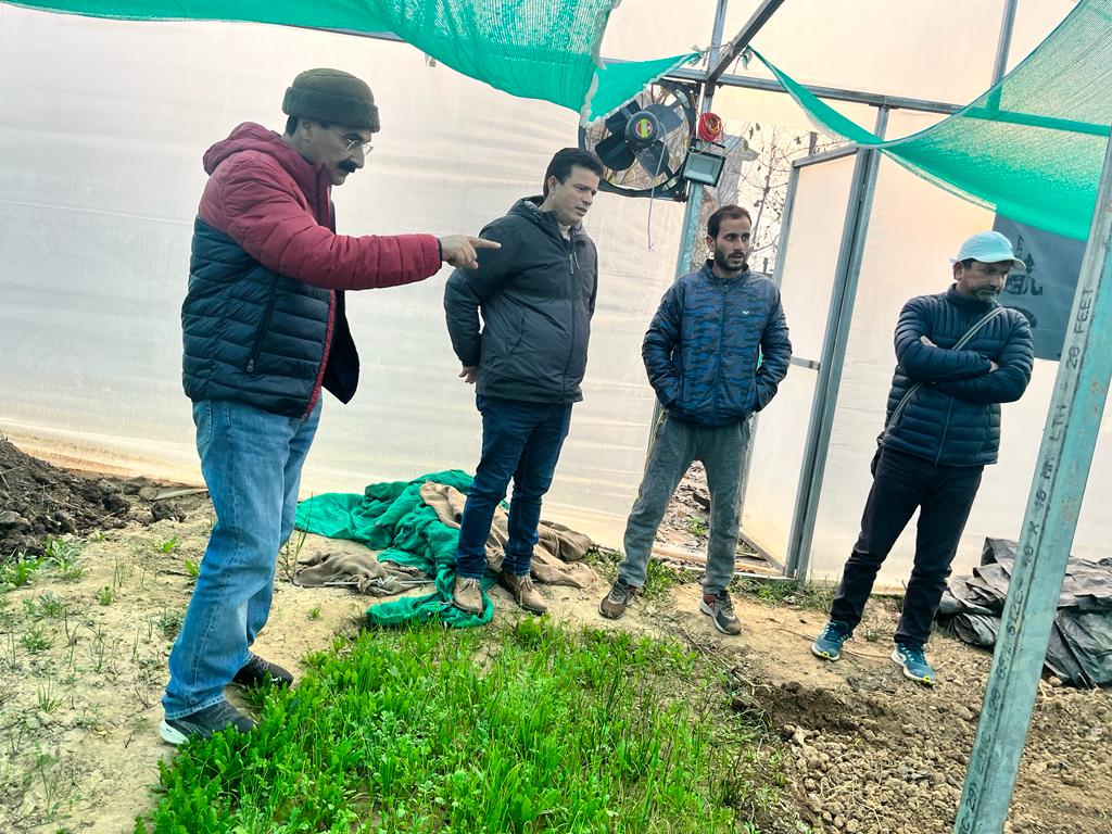 Director of Agriculture visits Pampore