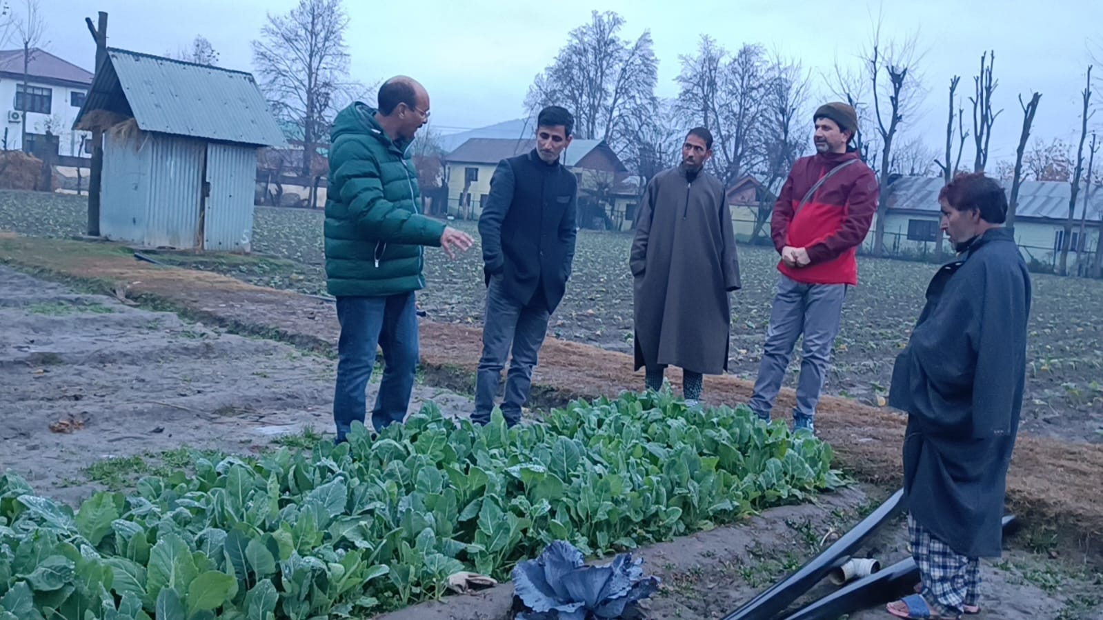 Director Agriculture visits Seed Multiplication Farm Sumbal