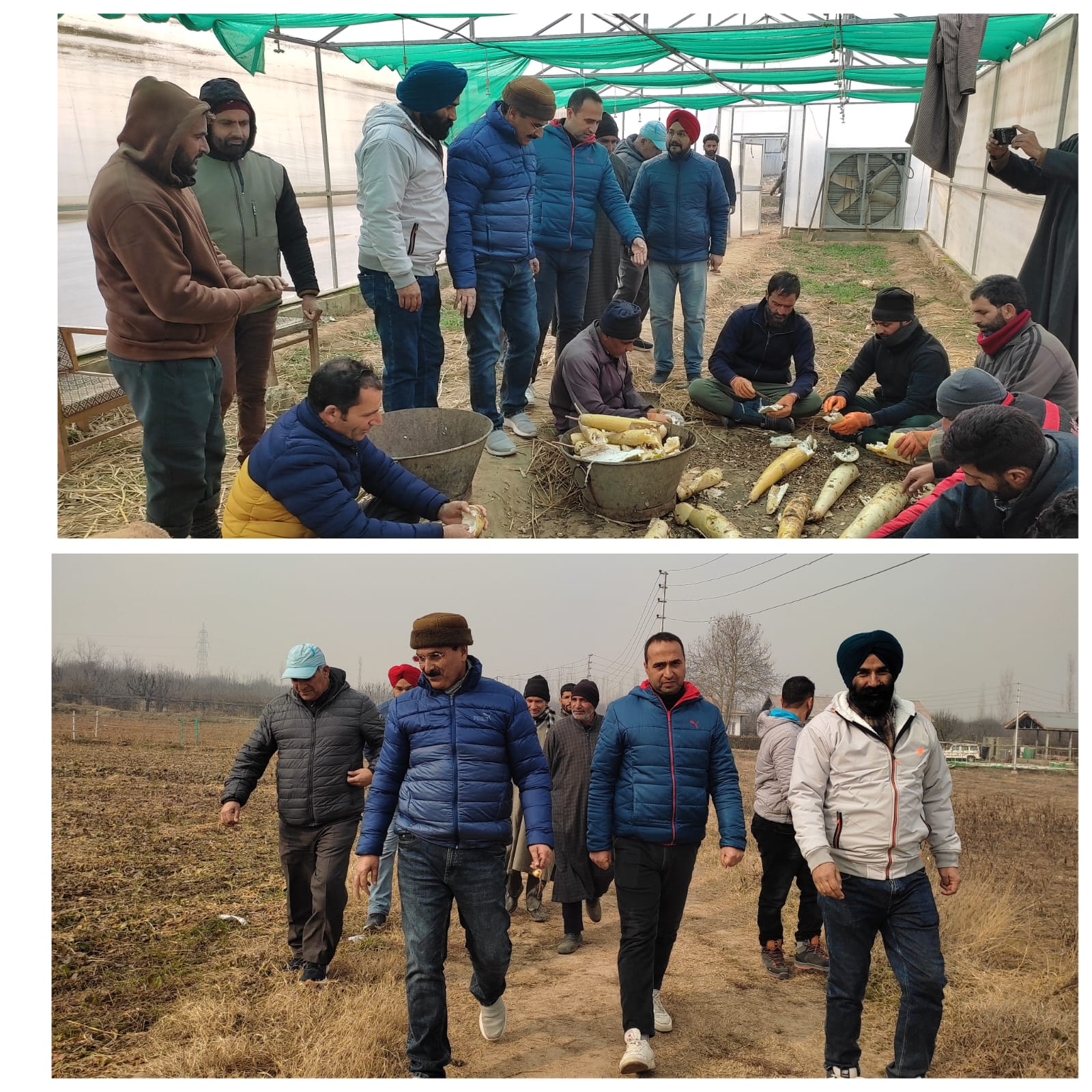 Departmental farms are potential sources of revenue, employment generation: Dir Agri