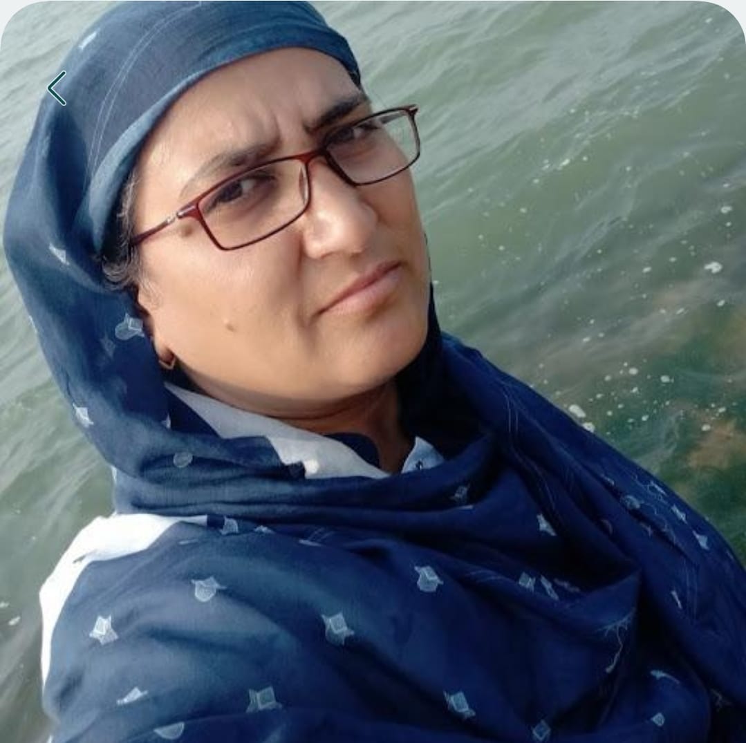 NIT Srinagar faculty member bags prestigious mega project from SERB-DST