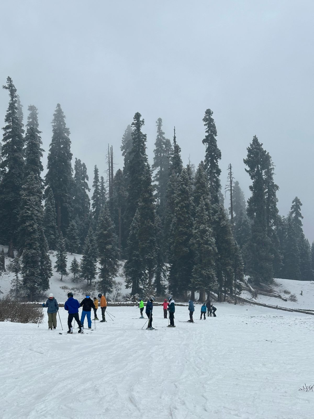 Parts of Kashmir receive light rain, snow; more precipitation predicted