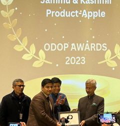 Jammu and Kashmir clinches gold at National ODOP Awards 2023