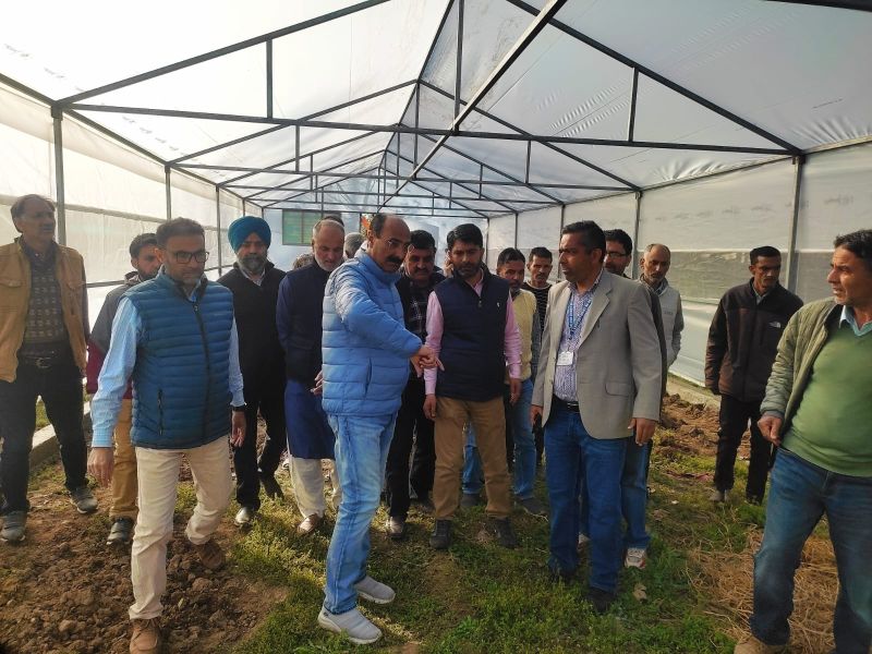 Dir Agri Kashmir visits Vegetable SMF Gangbugh