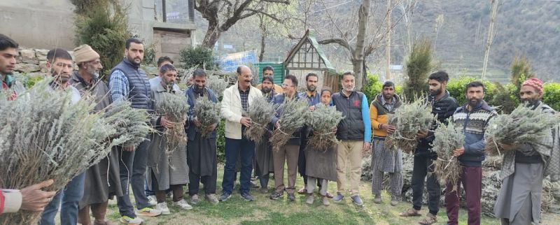 Director Agriculture takes stock of agricultural crops in Srinagar