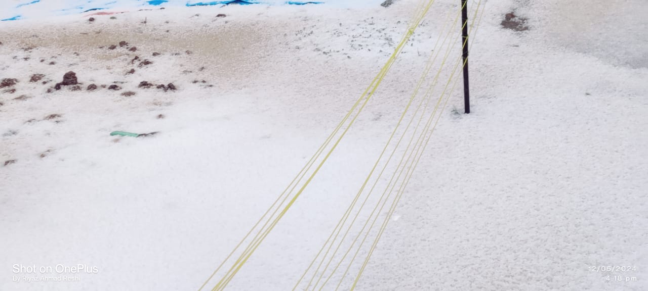 Hailstorm ravages fruit orchards in Tangmarg