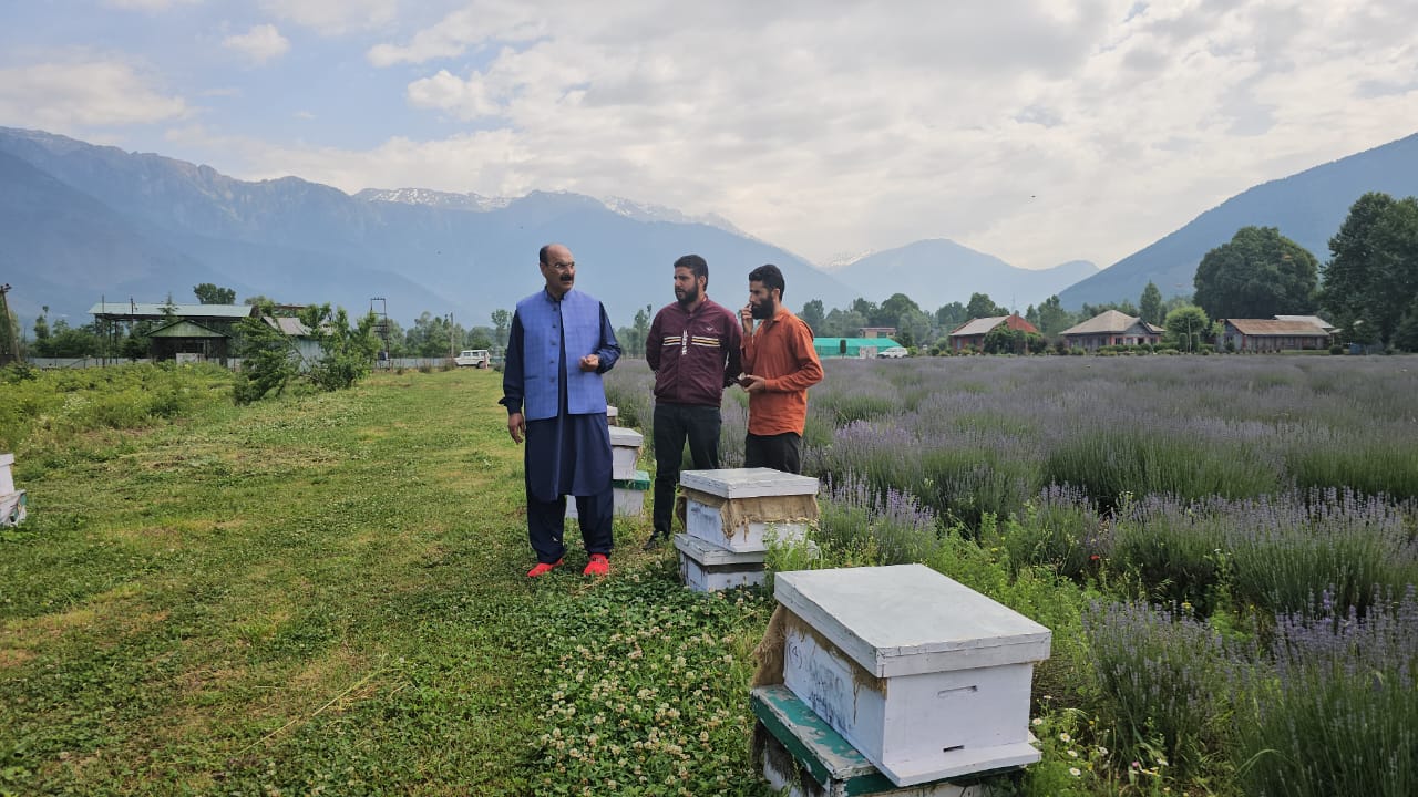 Director Agriculture visits Model Lavender Centre Nunner Ganderbal
