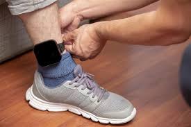 GPS tracker fixed on bailed-out ‘terror associate’ in Shopian