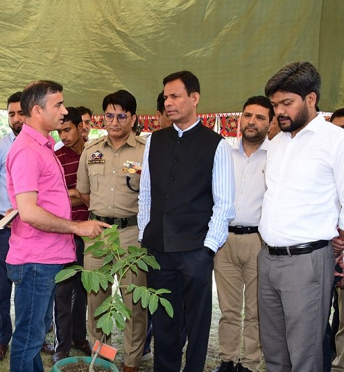 Rs 10,000 cr Revamped Distribution Sector Scheme to upgrade distribution infra, reduce AT&C losses: Pr Secy PDD