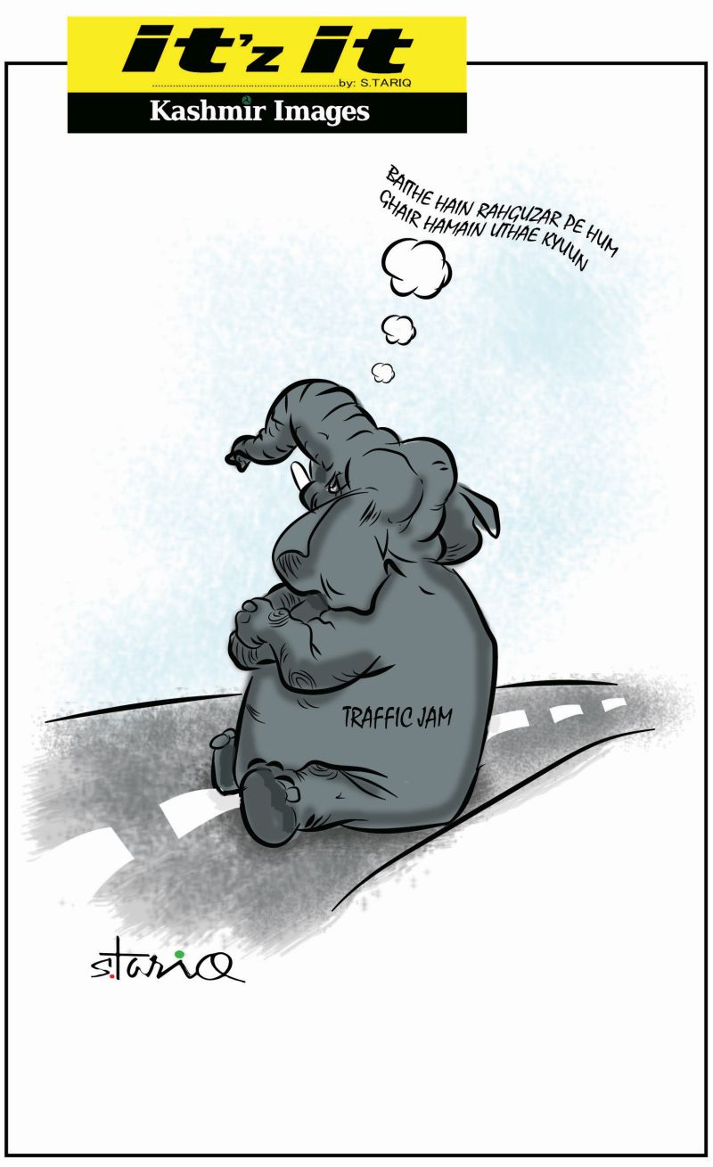 CartoonNetherlands open Twenty20 World Cup campaign with six-wicket win over Nepal