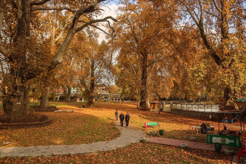 Kashmir Images photographer, Farooq Javed, catches the very essence of Kashmir’s autumn with blazing Chinars and golden leaves scattered all over. The Paradise, indeed!
