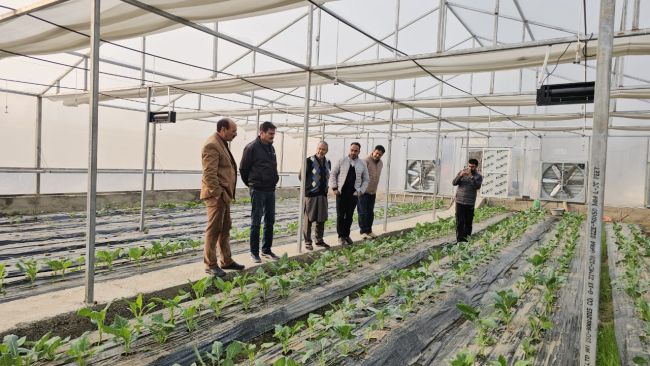 Director Agriculture Kashmir visits “Model Hi-tech poly houses” at Bijbehara