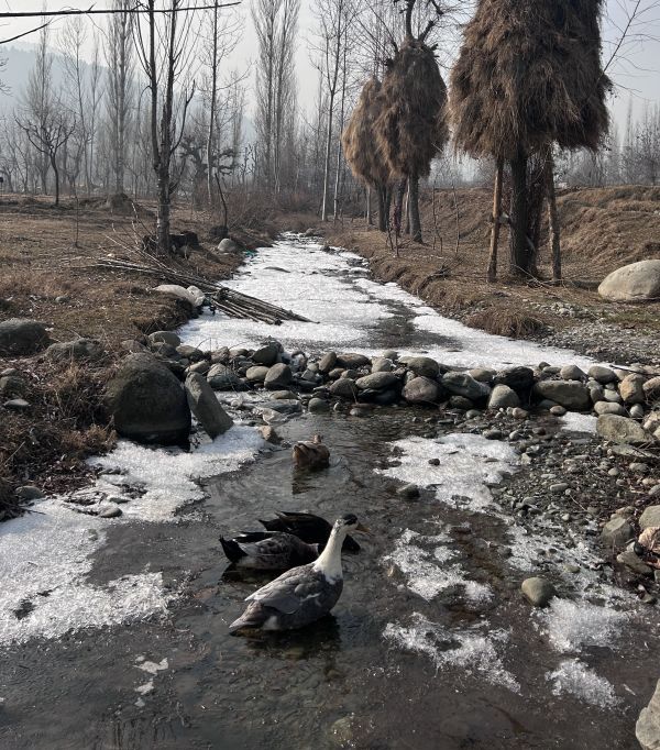 Mercury goes up to bring some respite from intense cold wave