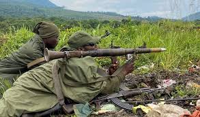 Fighting resumes in eastern Congo despite ceasefire between army, rebels