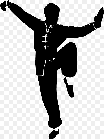 My Journey as a Wushu Player