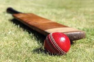 13-year-old boy dies after being hit by cricket ball in Kunzar