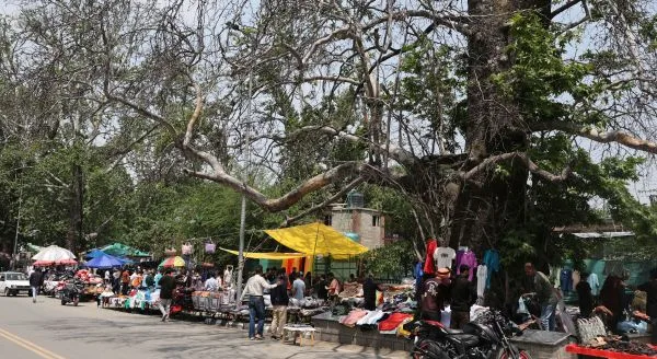 No ceasefire violation reported in Kashmir overnight