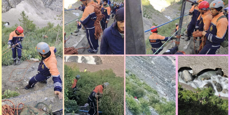 Amarnath pilgrim from Ludhiana goes missing in Ganderbal