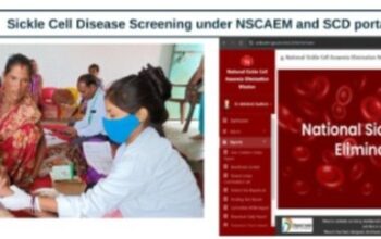 The success story of NSCAEM